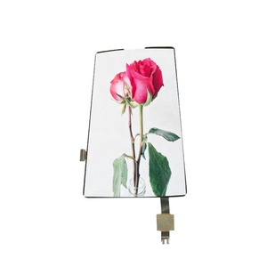 5 zoll 720*1280 punkte vollfarbige <span class=keywords><strong>led</strong></span>-anzeige videopaneele rgb/mIPI/mcu schnittstelle handy-<span class=keywords><strong>display</strong></span>