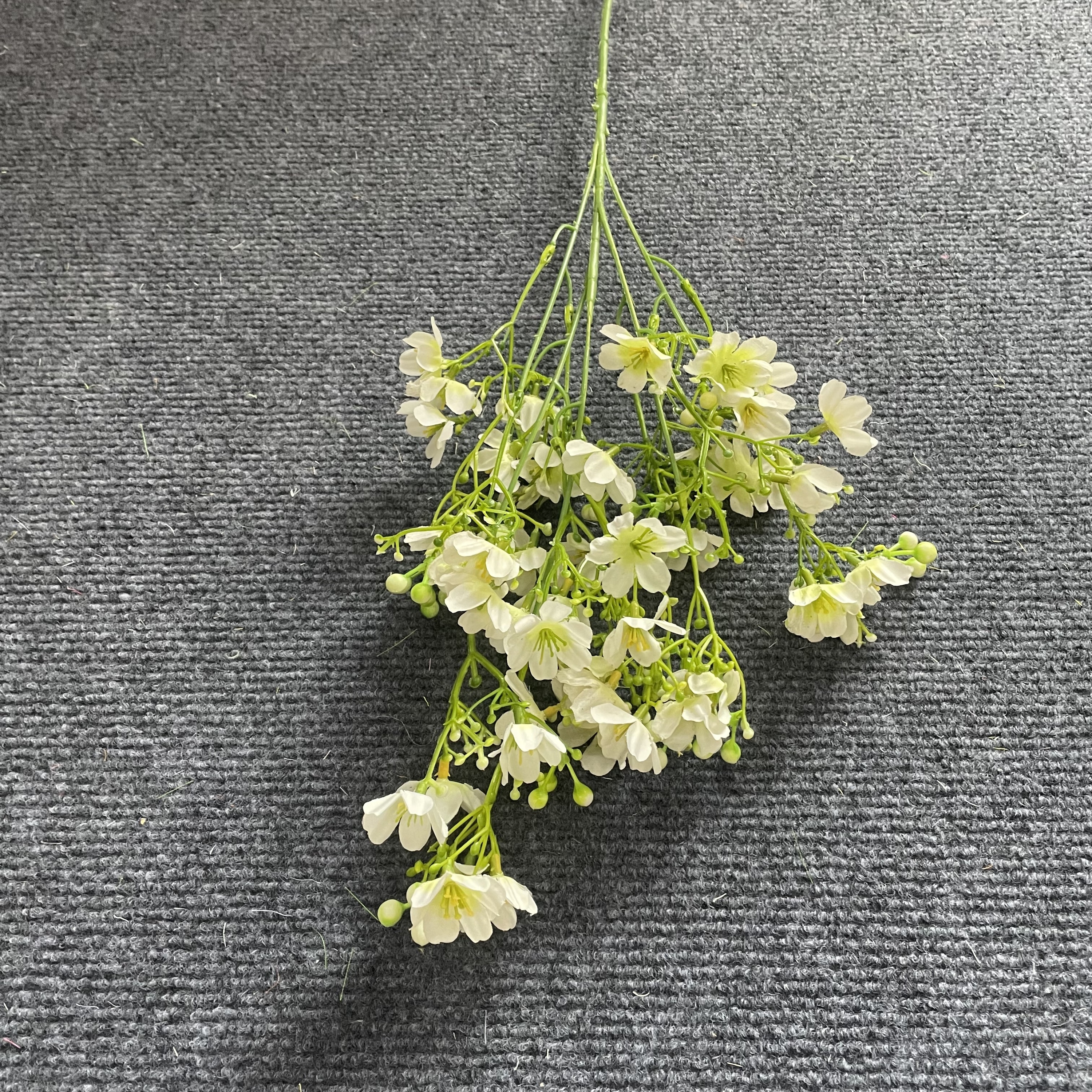 Blanc