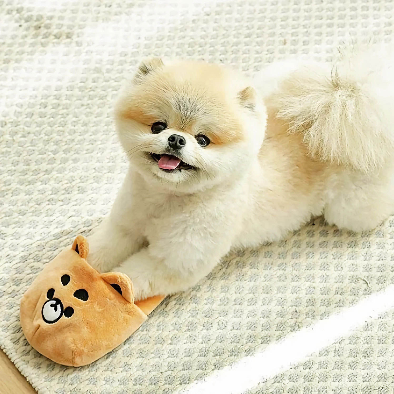 สีน้ำตาล