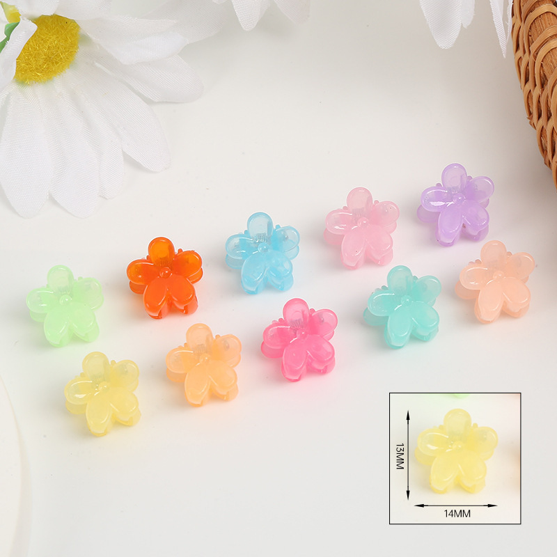 Fleur de prunier couleur gelée