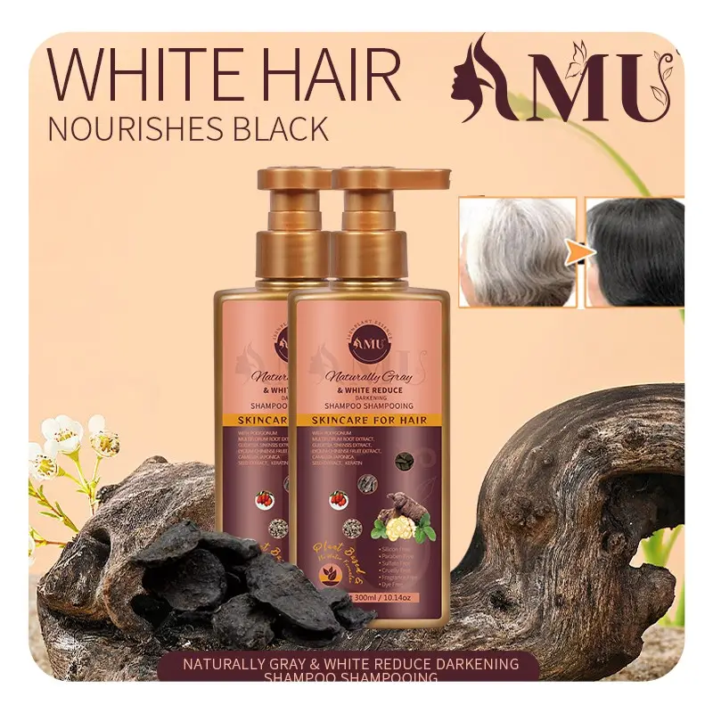 Melhor cabelo shampoo cuidados 300ml orgânico polygonum multiflorum gengibre cabelo preto para cabelos grisalhos anti para shampoo de tratamento preto