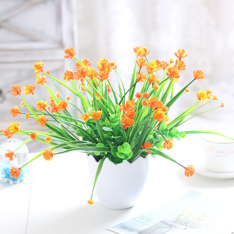 Aliento de bebé, Flor de Milán, Naranja