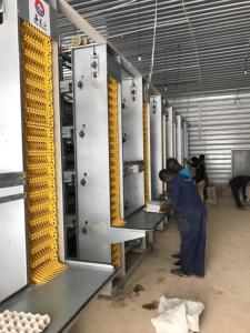 Smart avicoltura capannone kit di costruzione struttura in acciaio sistema di alimentazione/irrigazione/climatizzazione per la saldatura di luce delle uova