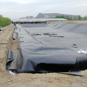 <strong>HDPE</strong> Geomembrane Price Dam Liner Geomembrane <strong>Hdpe</strong> 1.5mm - Product Image 4