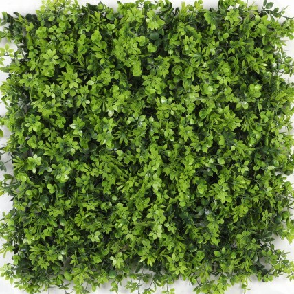 Girasol arce verde-50x50