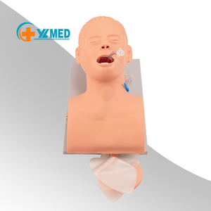 Medical Science Electronic <strong>Human</strong> Tracheal Intubation Training Model - Product Image 6