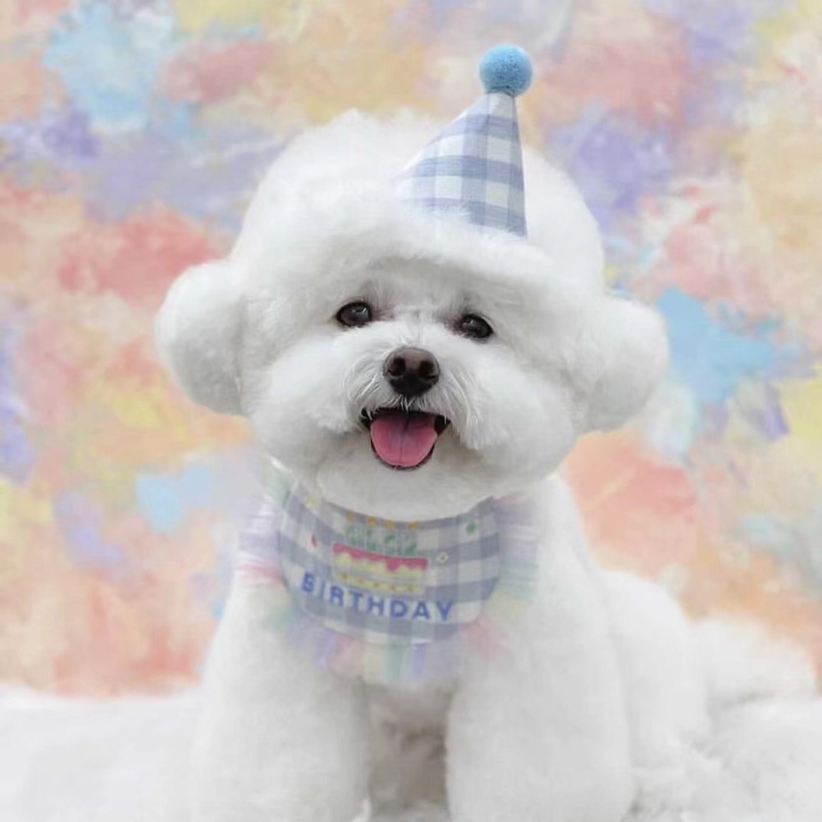 WB003 Blue Plaid Hat