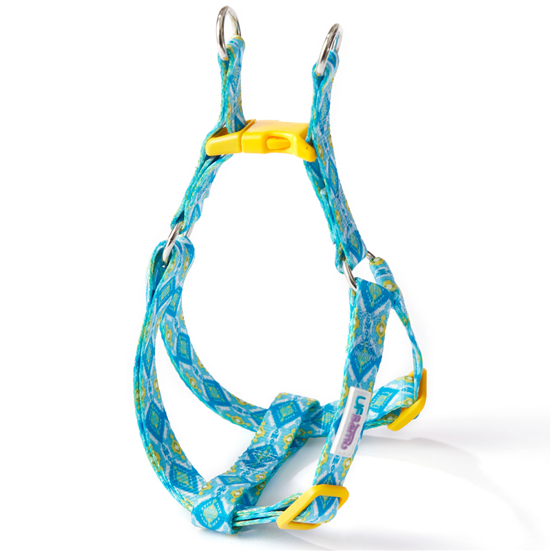 Bleu Halter