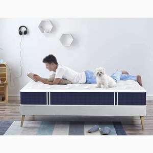 King Queen Memory-Schaumtasche neue Feder-Kompressmatratze aus China günstige Federmatratze - Product Image 5