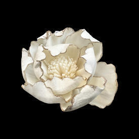 6cm burnt-edge peony-s863b06n