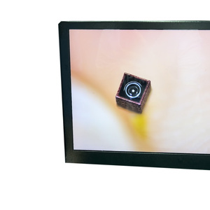 Nueva Cámara más pequeña 0,65*0,65mm sensor COMS HD400 * 400P CÁMARA DE endoscopio médico OCHTA10 OEM - Product Image 3