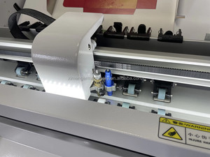 Çift kafaları A3 levha etiket kalıp kesici kalıp kesme ve otomatik besleyici CCD kamera pozisyon ile kırma makinesi - Product Image 3