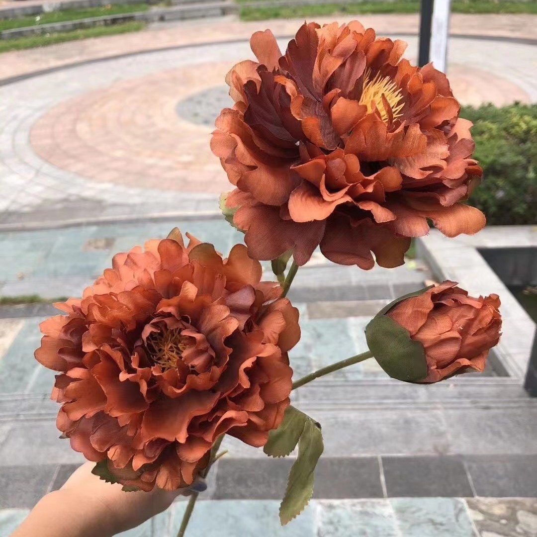 9# สีน้ำตาล ดอกโบตั๋นมงคล 3 หัว - สีกาแฟเข้ม