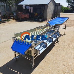 Máquina clasificadora de frutas y verduras comercial de alta eficiencia Máquina clasificadora de frutas vegetales de gran capacidad - Product Image 4