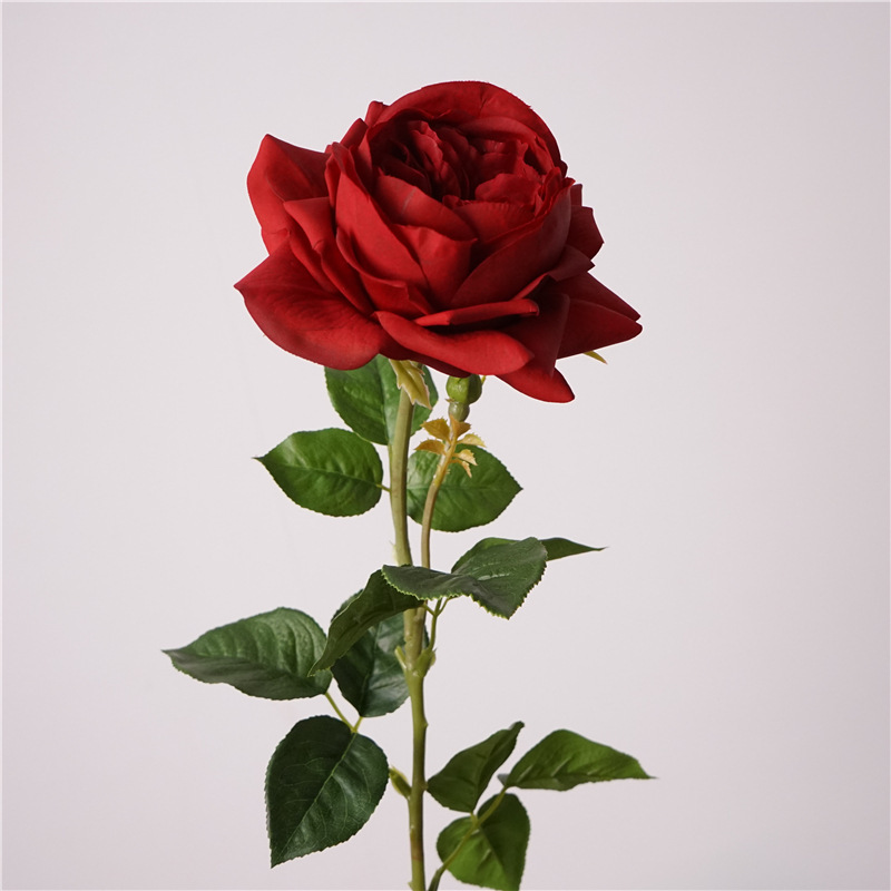 Rojo