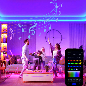 WS2811 RGBIC LED-Streifen-Kit Blue Tooth Smart Control Musik synchron isation Farb segment 5M 10M Wasserdichtes flexibles Band RGB-Streifen leuchten - Product Image 3