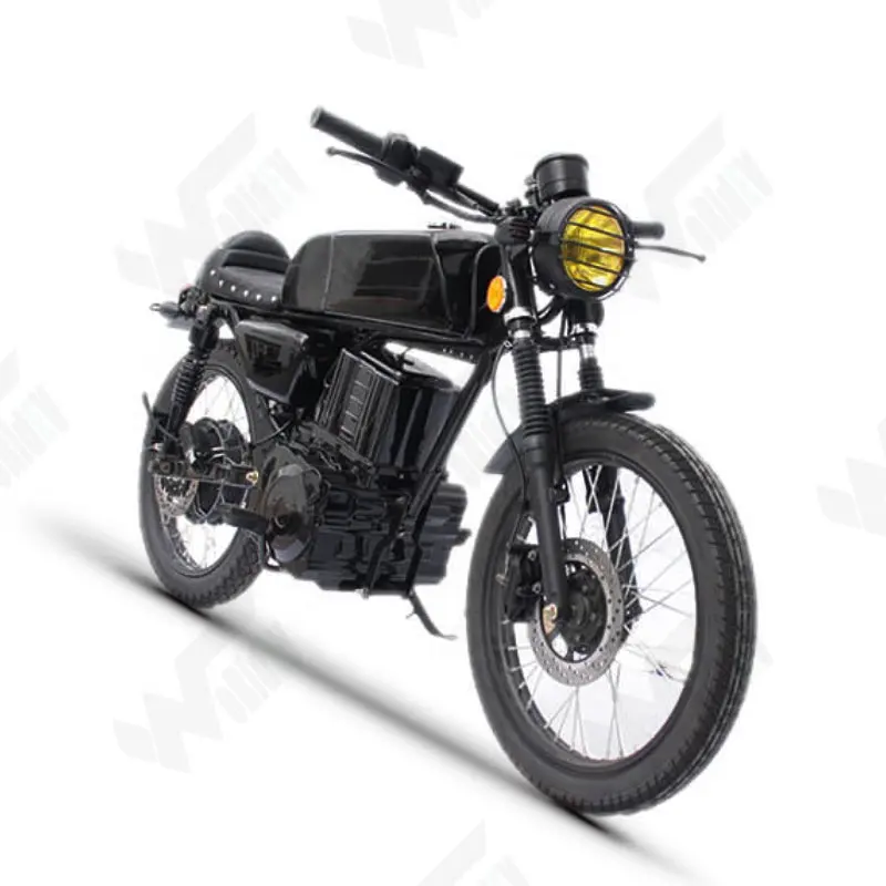 Trung Quốc Offroad Người Lớn Xe Máy Điện Với Retro Xuất Hiện Để Bán