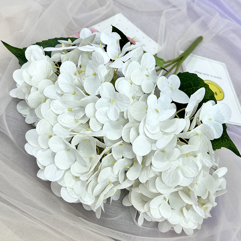 Blanc