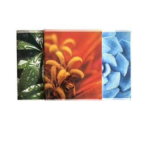 <strong>Colorful</strong> New Popular Avocado Cute Cardboard <strong>Notebook</strong> A5 Spring Short Hand <strong>Note</strong> Book for Office Use - Product Image 5