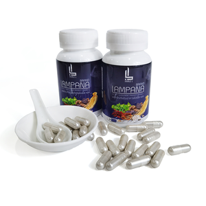 Embark on <strong>an</strong> Energetic New Journey With High-quality Nutritional <strong>Capsules</strong> Containing Ginseng, Lingzhi, and Other Herbal Extracts - Product Image 2