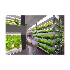 Preço de fábrica 40HQ Recipiente totalmente automatizado Recipiente Vertical Estufas agrícolas Sistema de hidroponia agrícola vertical