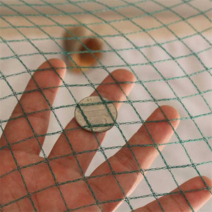 ブルーベリーのための工場提供された鳥の網