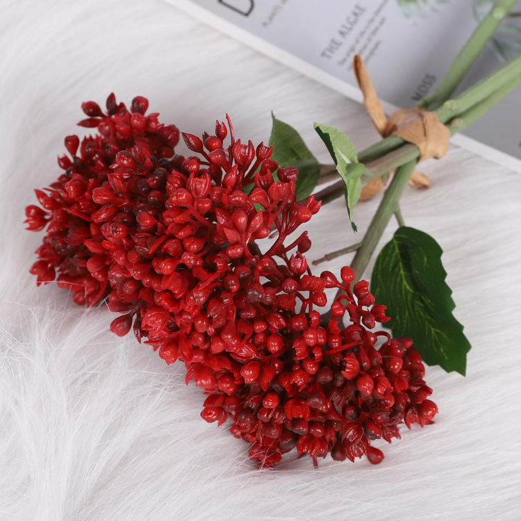 Wind letter fruit red