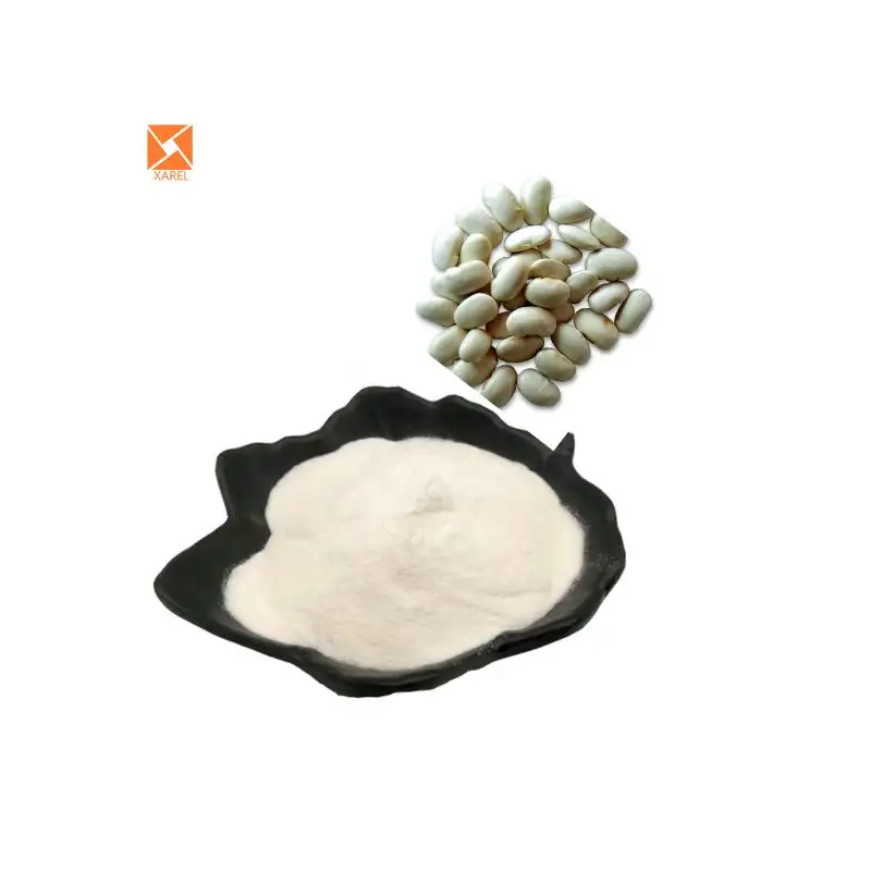 Poudre d'extrait de haricot blanc pour perdre du poids de qualité halal poudre de haricot blanc