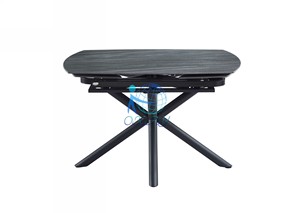大师设计豪华现代餐桌椅套装餐厅家具12座带旋转延伸功能 - Product Image 4