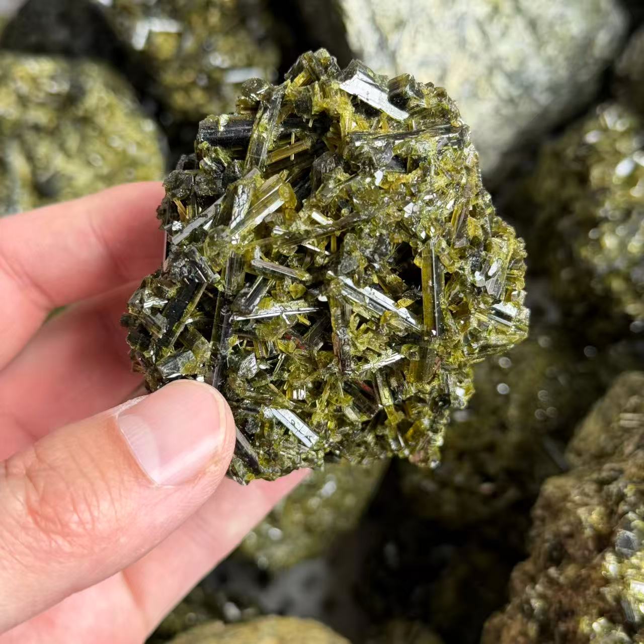 Tourmaline verte