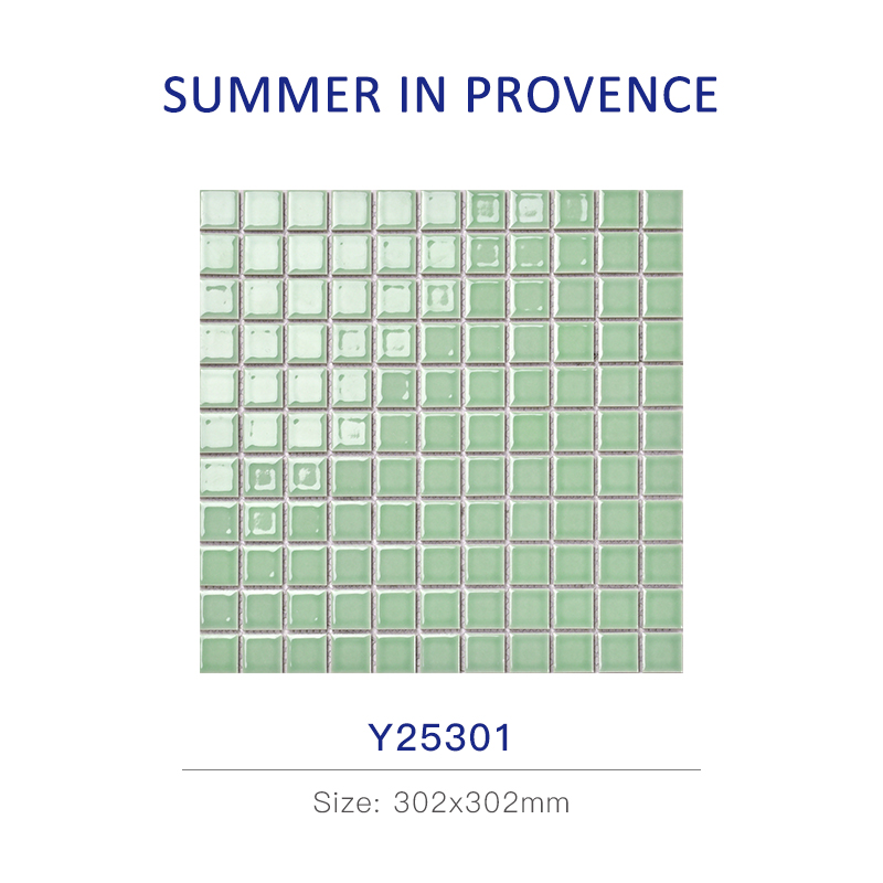 Y25301