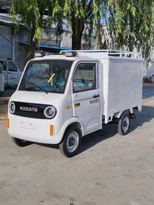 Mükemmel performans ile yeni varış Mini elektrikli kargo kamyon küçük EV araba