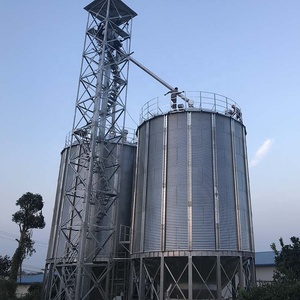 筒仓储粮100t镀锌家禽饲料筒仓金属筒仓肯尼亚