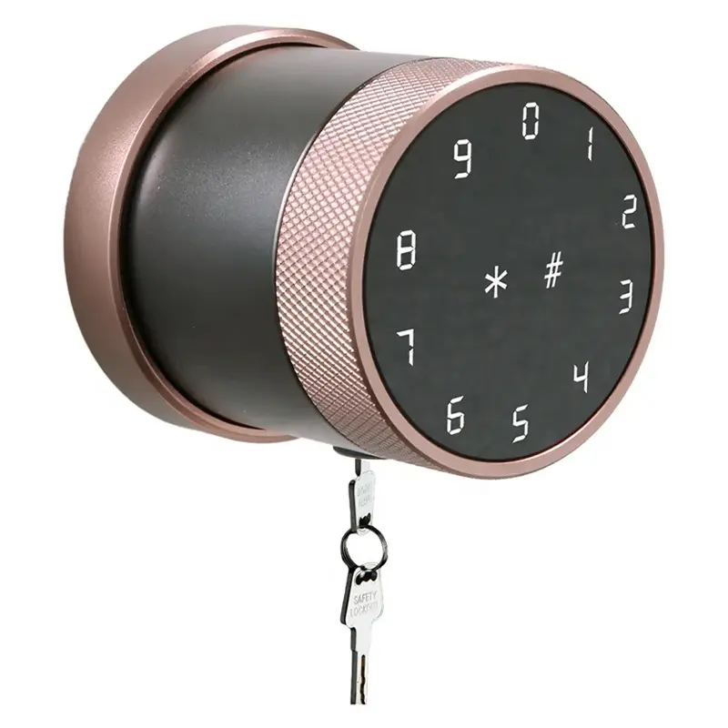 Ttlock Smart Home Türschloss Biometrisches Schloss für Holztür-Kaufen Sie Smart Lock Biometric Keyless Entry Türgriff