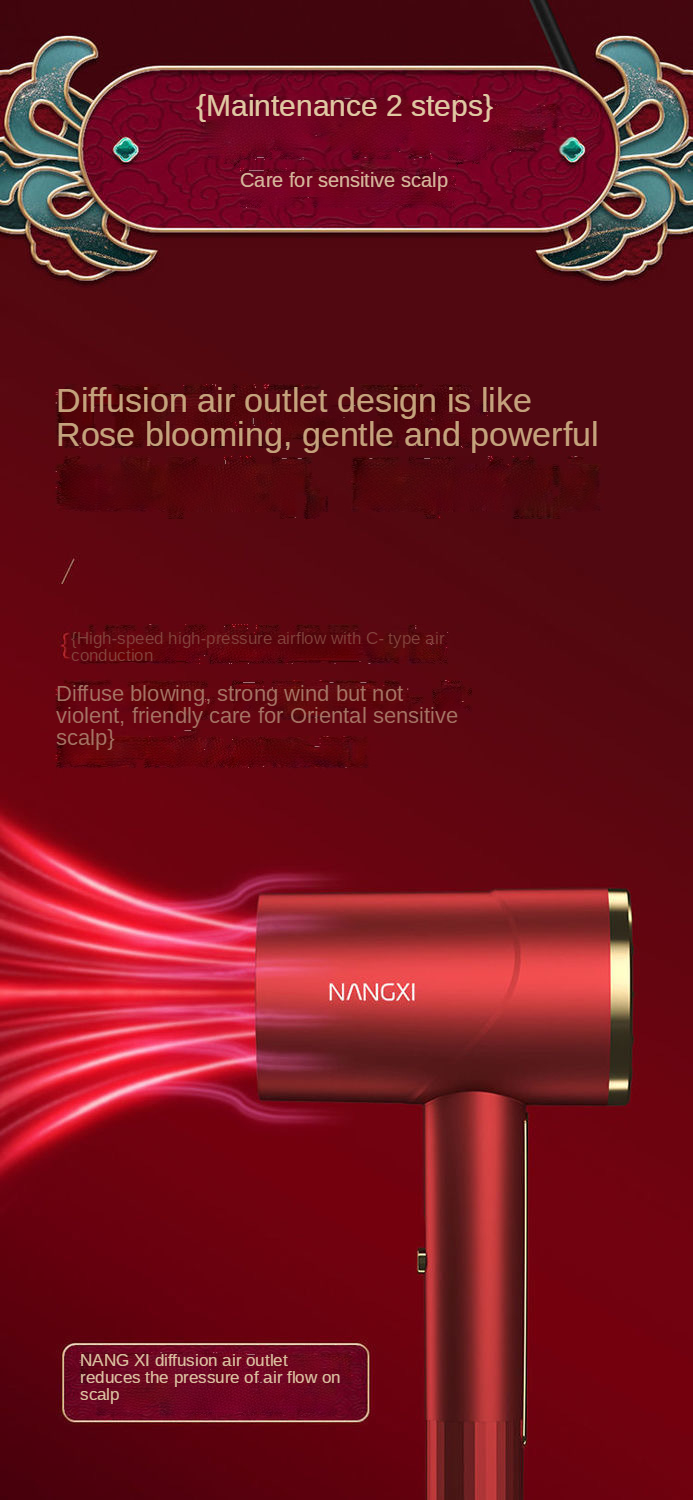 Amazon new fashion hair dryer negative ion hair care quiet and quick-drying household salon travel Professional hair dryer