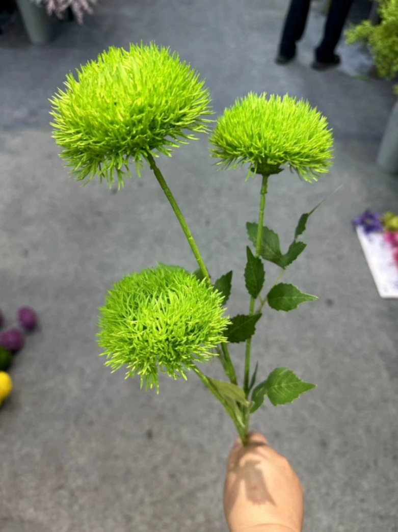 ดอกคาร์เนชั่น3หัว