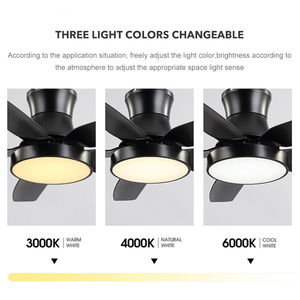 Quạt Trần <span class=keywords><strong>Led</strong></span> Trang Trí Trong Nhà Điều Khiển Từ Xa Động Cơ DC Phong Cách Tối Giản Hiện Đại Có Đèn - Product Image 3