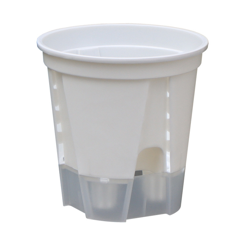 White+transparent tray