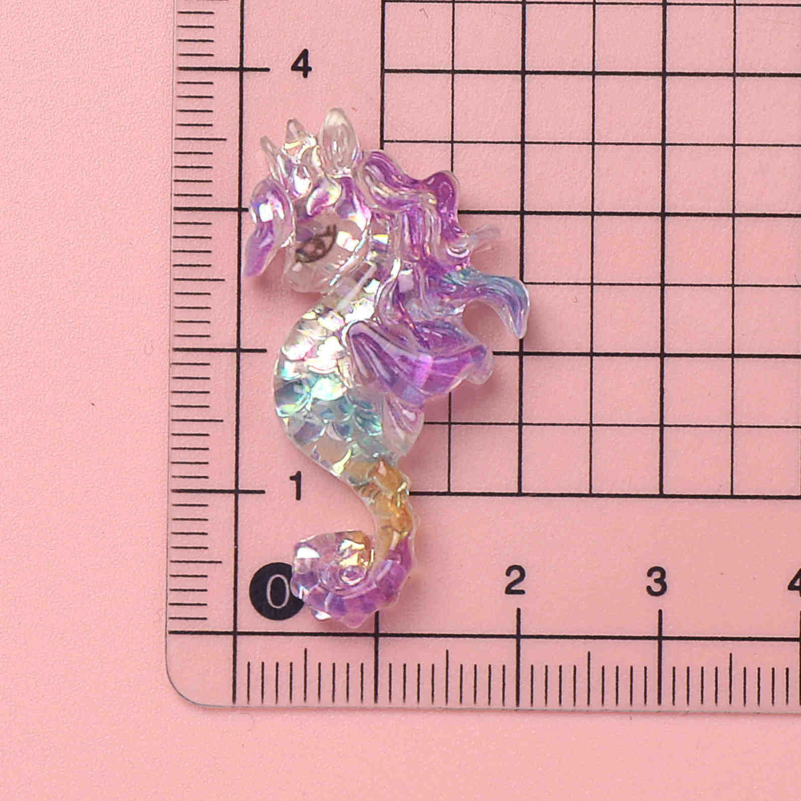 Hippocampe