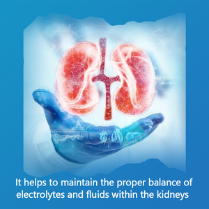 Jiaoming Thé nettoyant pour les reins Ginseng chinois naturel à base de plantes et goji Thé détox pour les reins Libido vitale et les reins Marques privées OEM - Product Image 6