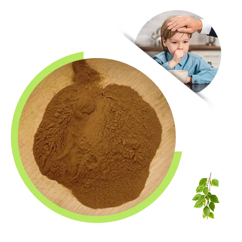 Wholesale Betula Alba Birch Leaf Powder Stinging Nettle Root Extract powder 10:1 Raw Material