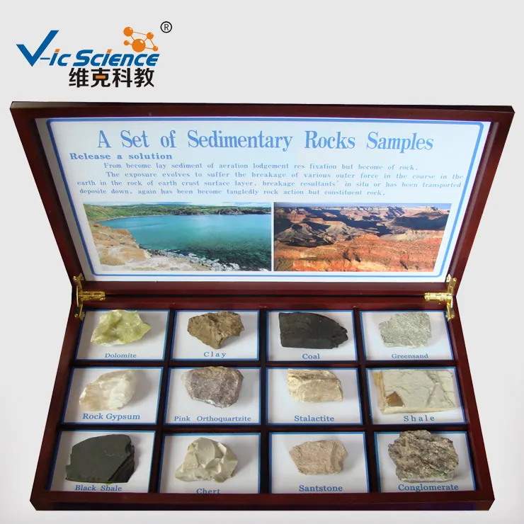 Éducation recherche (12 types) Pétrologie sédimentaire Spécimens de roches naturelles