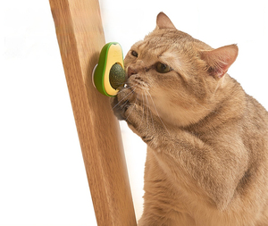 Joysing Avocado Catnip Pet Treats Cat Toys para lamer el disfrute y el entretenimiento - Product Image 1