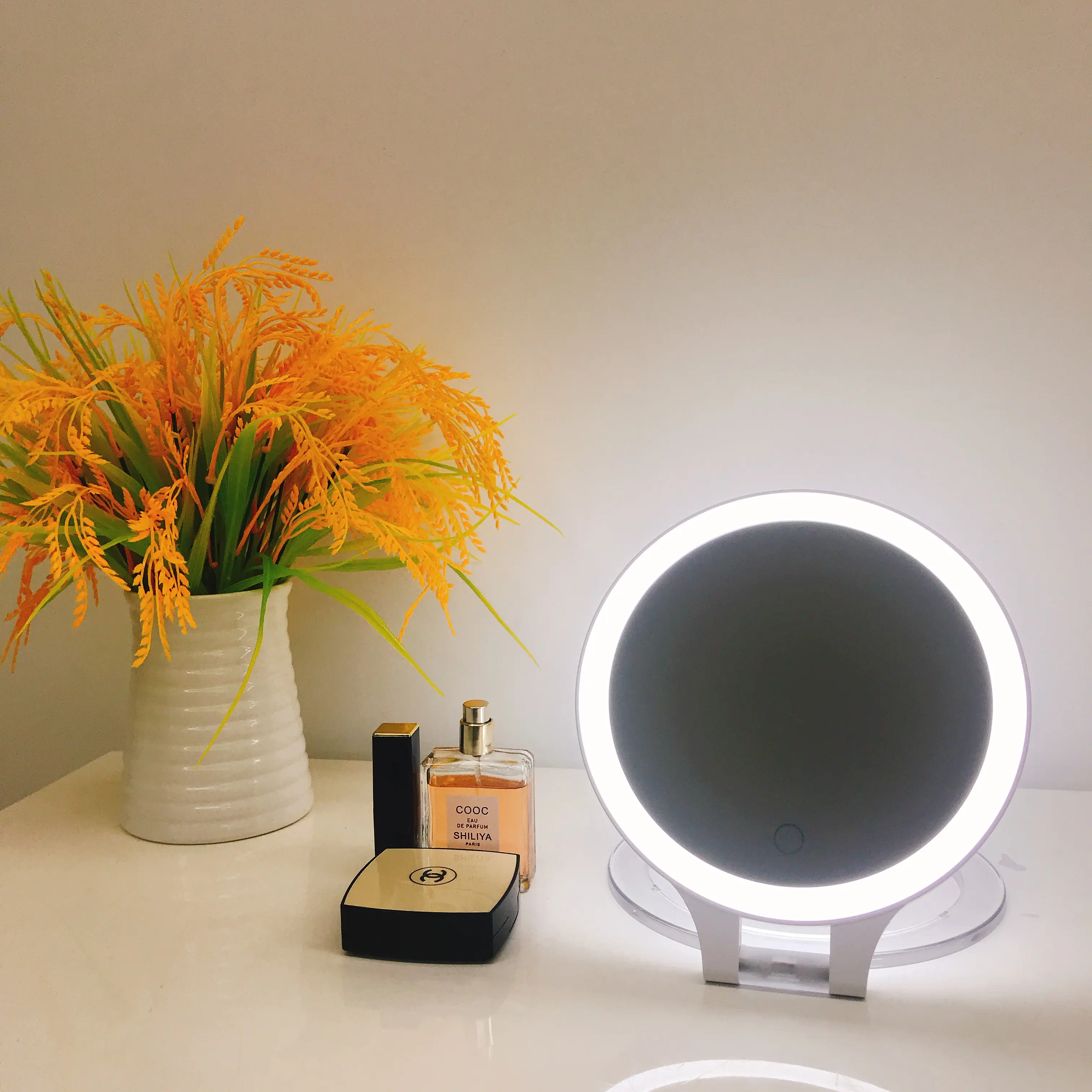 Specchio LED rotondo pieghevole con lente d'ingrandimento 10x specchio per il trucco appeso e in piedi su entrambi i lati specchio decorativo illuminato personalizza