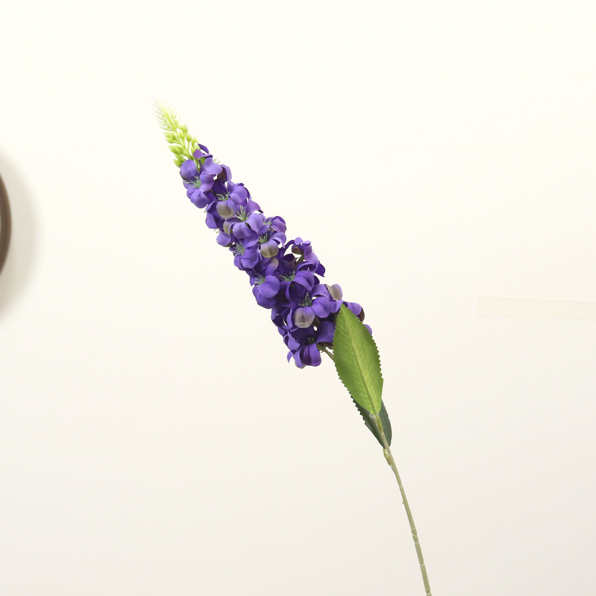 Pourpre