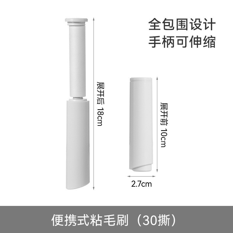 Portable Lint Brush