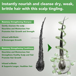 Sulfat bebas bahan organik antiketombe rambut rontok Biotin Rosemary untuk pertumbuhan rambut sampo dan kondisioner Set Label pribadi - Product Image 5
