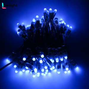 DC 5V DC12V WS2811 Digitale LED Pixel punkt LichtWS2811 RGB IC Farb veränderbar IP68 wasserdicht 0,3 W Smart LED Modul Licht