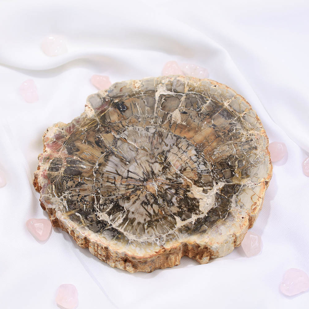 Wood Stone Slice