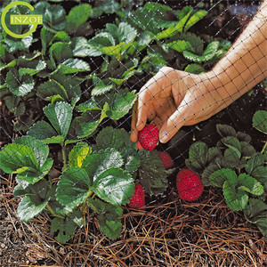 Red barata para pájaros para protección de jardines